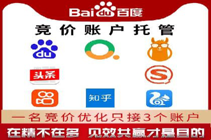 顶级SEM服务公司案例解析